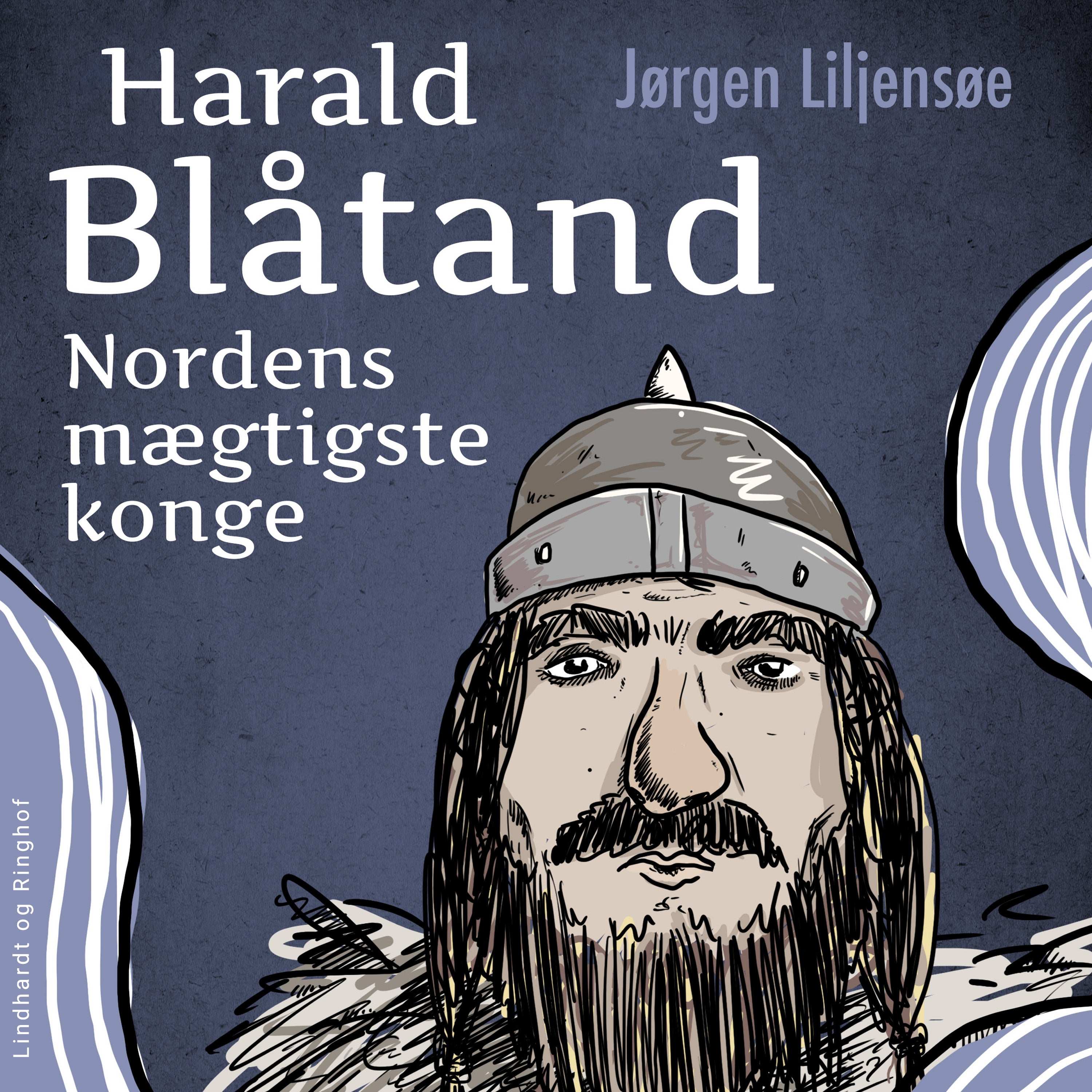 Forside billede